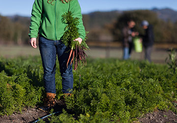 Master’s in Sustainable Food Systems