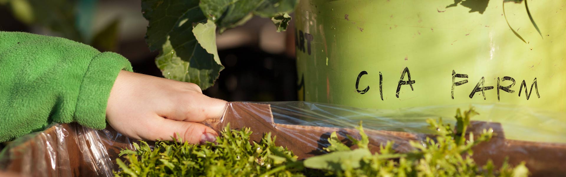 CIA Master’s Degree Programs - Sustainable Food Systems