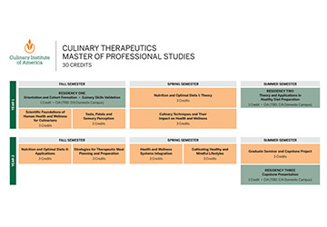 Curriculum chart for the CIA master's degree in culinary therapeutics.