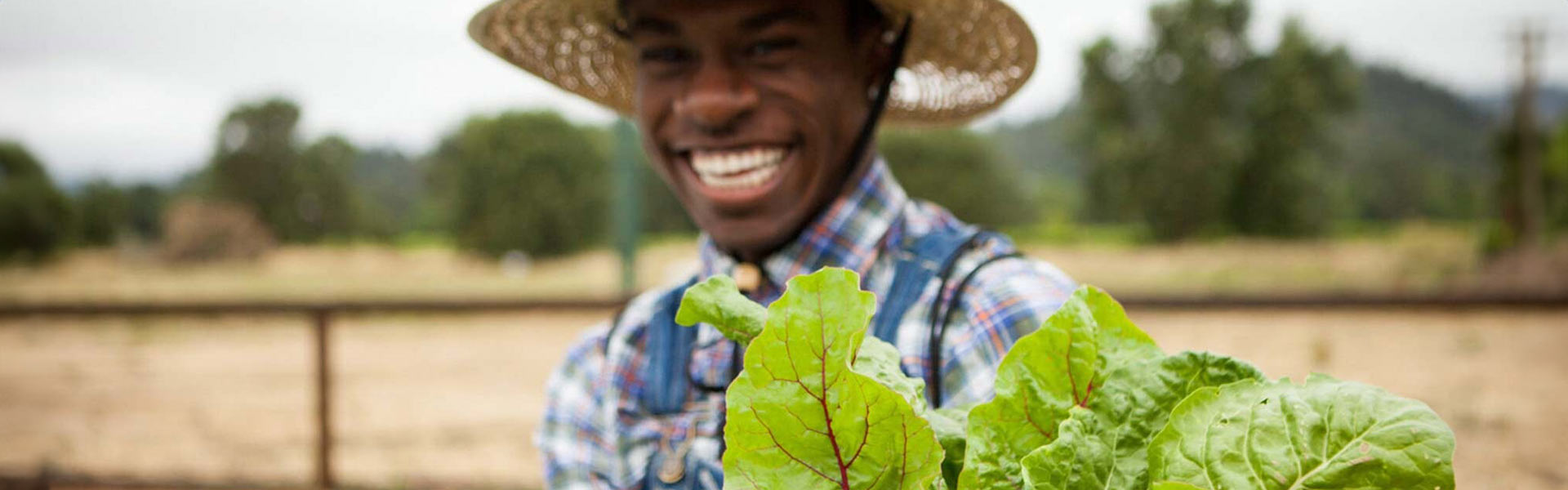 CIA Sustainable Food Systems Master's Degree graduate working on a farm