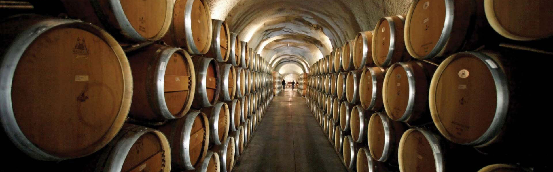 Stacks of wine barrels in a vineyard cellar.