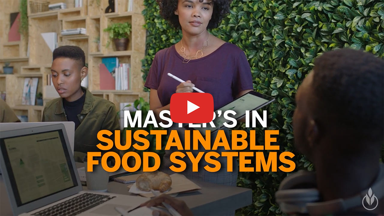 Image of CIA Online Master’s Degree in Sustainable Food Systems YouTube thumbnail.