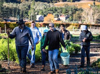 Image of CIA students working at a winery.