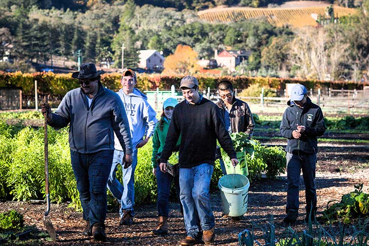 Culinary Institute of America sustainable food systems master's degree students working on a farm.